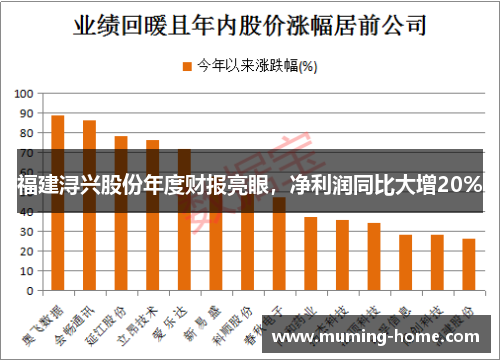 福建浔兴股份年度财报亮眼，净利润同比大增20%